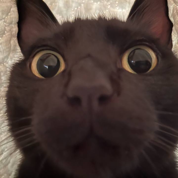 403fbe48 b83f 4320 8aeb 6728308f6a8e 1691108181027