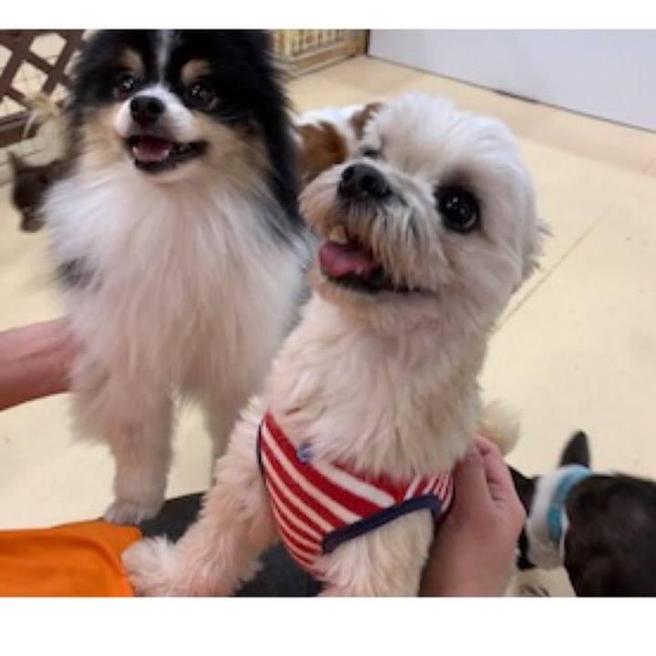 403fc17d 331a 421c b66c 5c2299563b77 1554986464860