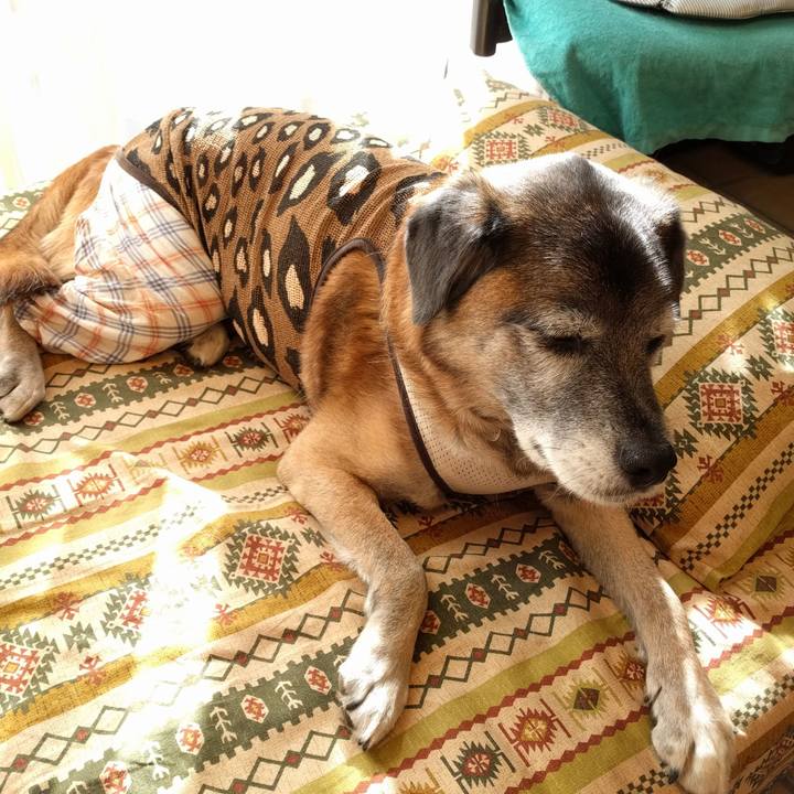 403fdbf3 4135 4905 8f7b 811116269d13 1515648931545