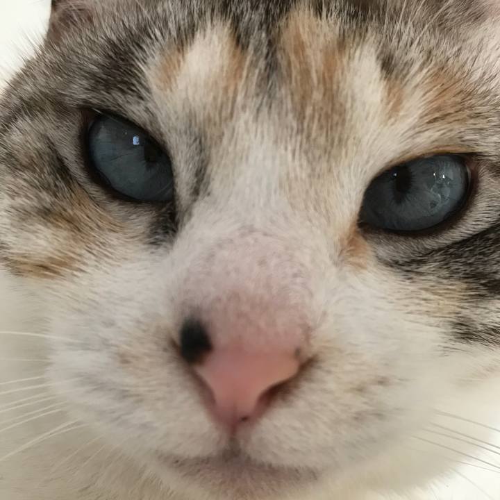 4040024c e202 4469 8345 ba2ab45ac3a7 1520159084196