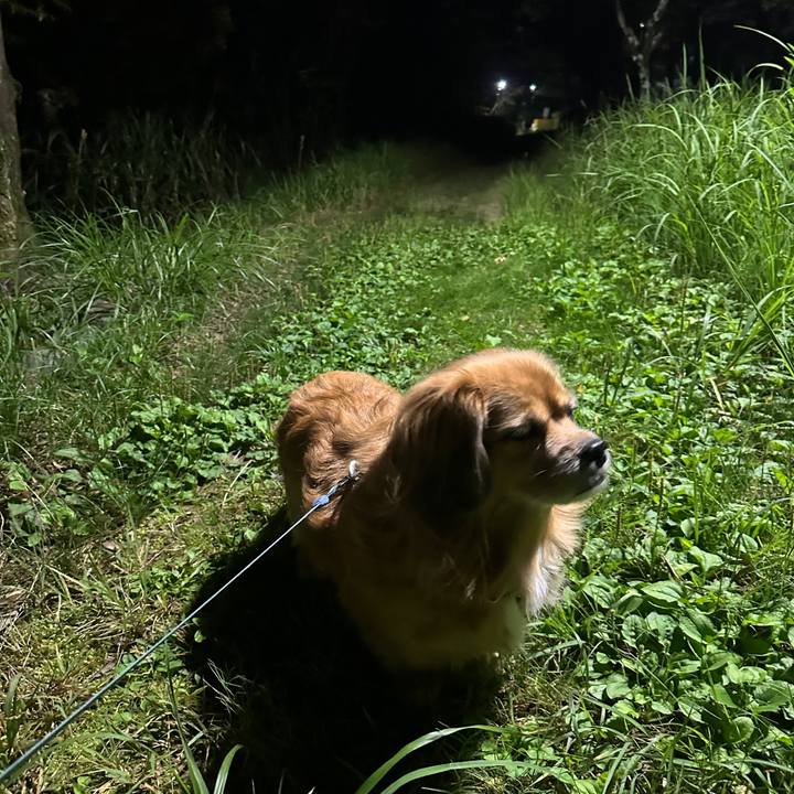 40402e39 fc41 41a9 983c 3d814a92457e 1731531872457