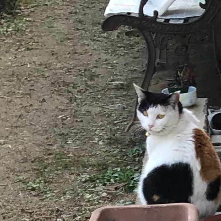 40403da0 bb7a 4eba beea 9d7739aee21b 1612611952357