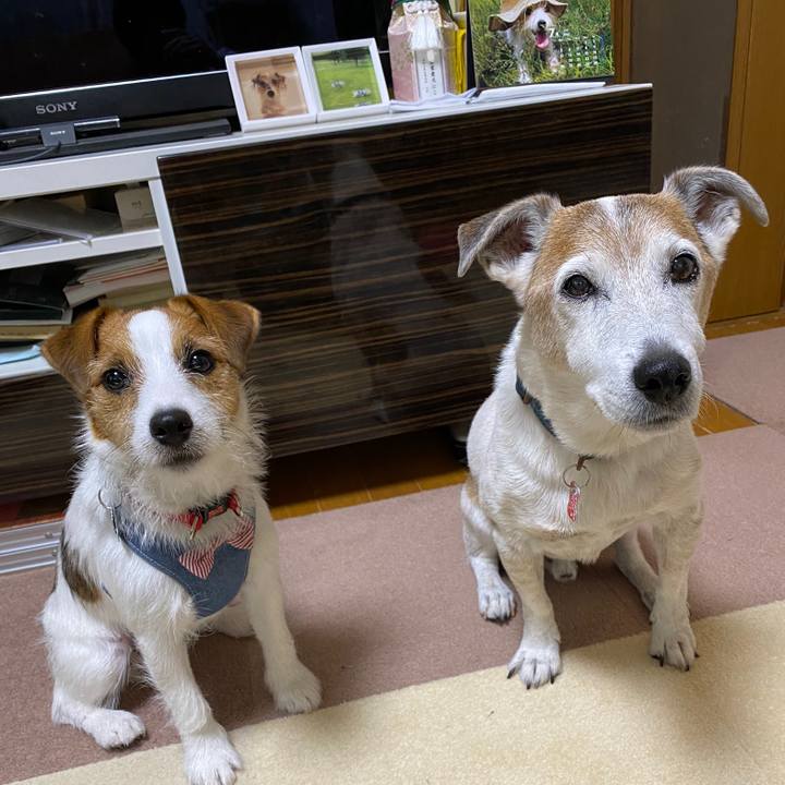 40404a11 34a3 4bd7 b2a3 bf37728def70 1625951969340