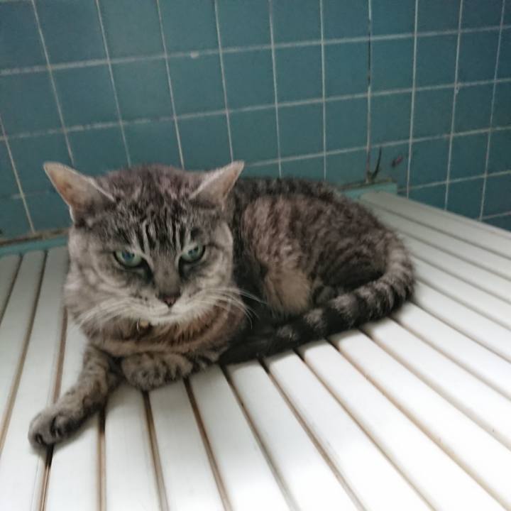 4040a26c fc63 41a7 bb68 1fdc9f8f2323 1569707029358