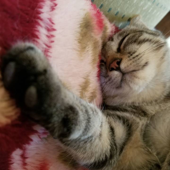 4040ae8c 4035 44a8 8ef0 59d89961dfde 1670028761733