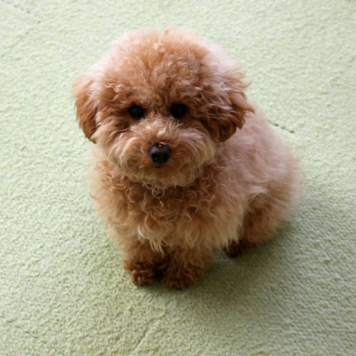 4040c5a2 c268 4cc4 a45c 43caef042fb6 1511692757619