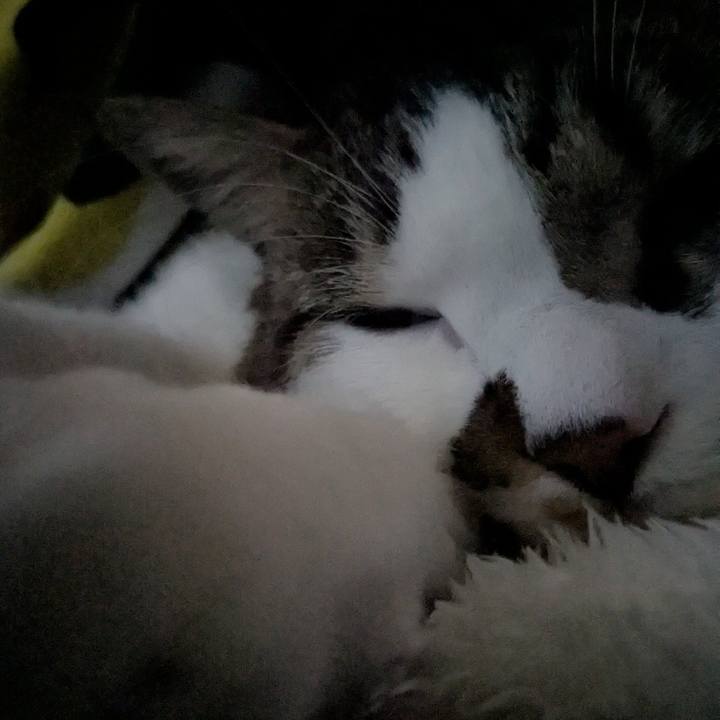 4040ec3f 2e65 4f5a ad93 a7bcc4c54baa 1743892397081