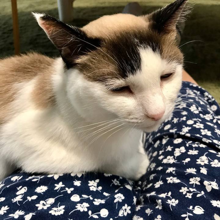 40411345 56c8 4bfd 9213 aec115fcfa25 1596288279600