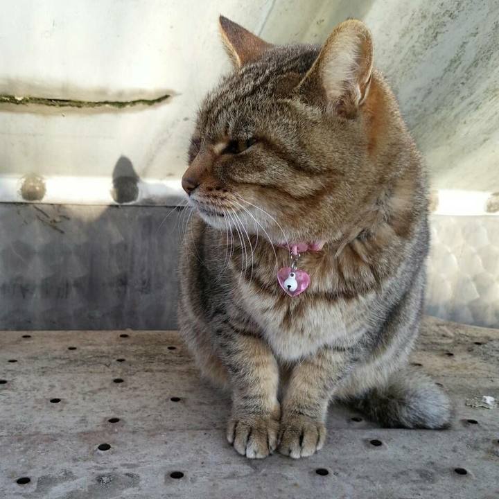 404119f7 86b3 46e7 a130 0bfc1d5f0a62 1514253917361