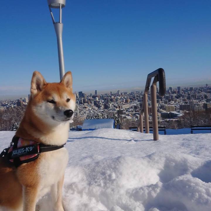 404133f5 e860 4d19 a6f2 11c0690a26a3 1516241913337