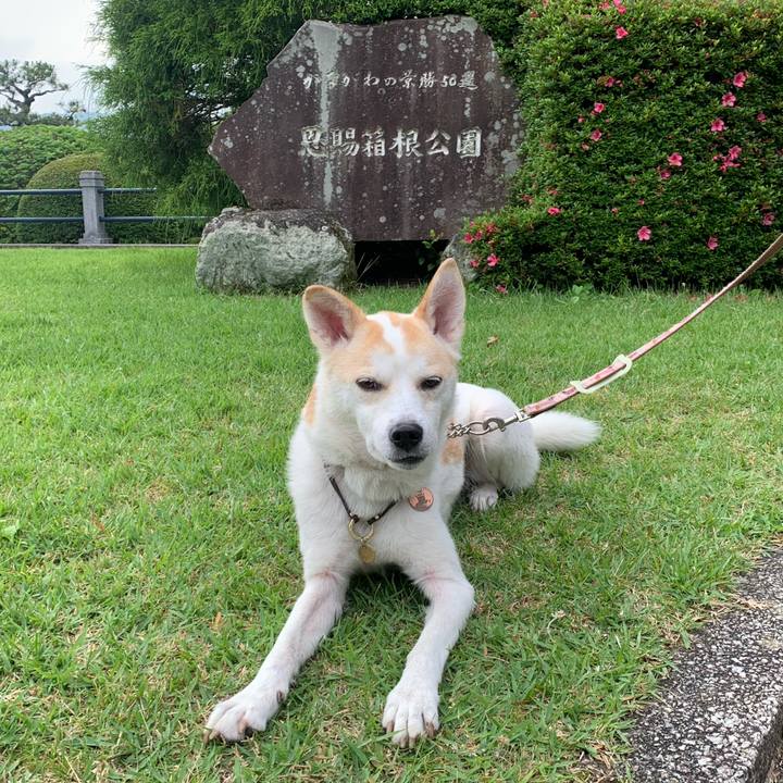 40414adb 1174 466a b623 72624ca1ddb0 1687865398725