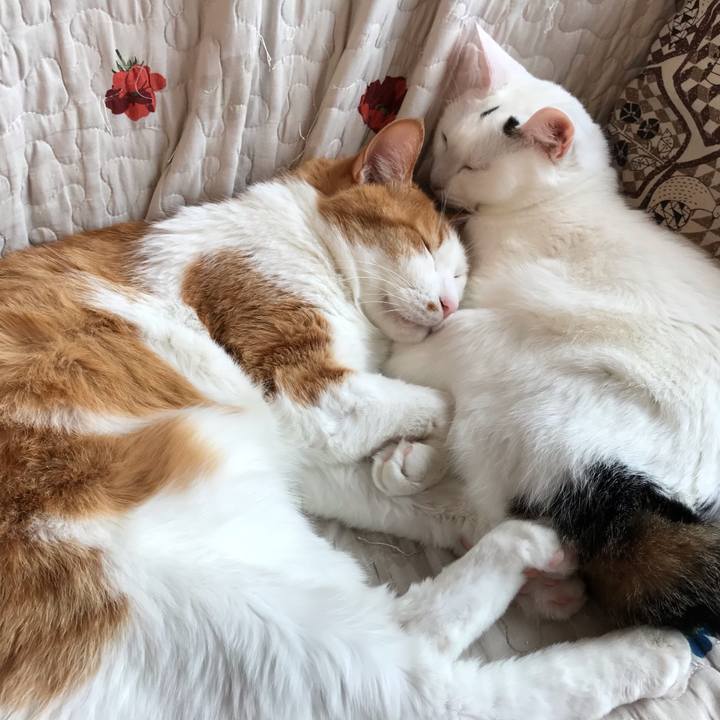 40415604 1b21 4aa1 9e21 42587f454468 1593325490321