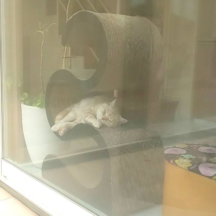 40416671 ec82 4867 a8d3 fc0e9bf68f68 1594437451152