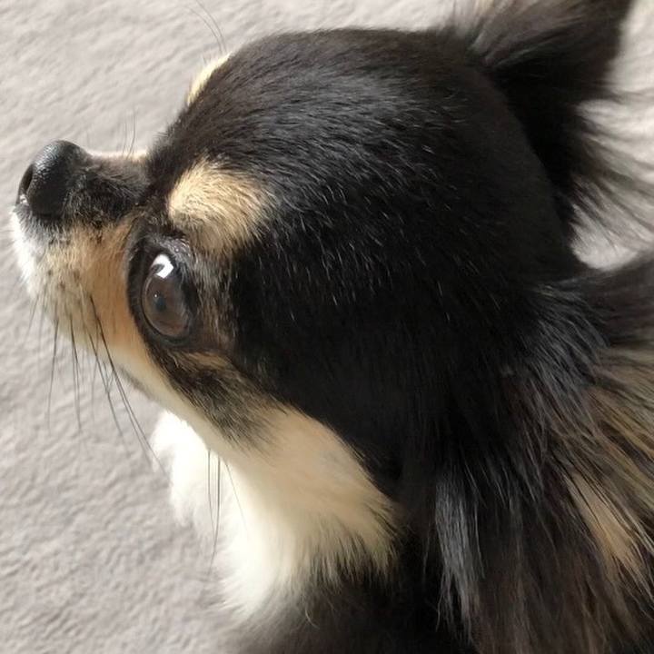 4041cc1b 8b35 4cc9 aa02 b67f90e2e837 1595034506073