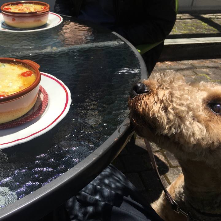 4041df86 7e17 4345 b9e3 6bab226e5004 1557063415954