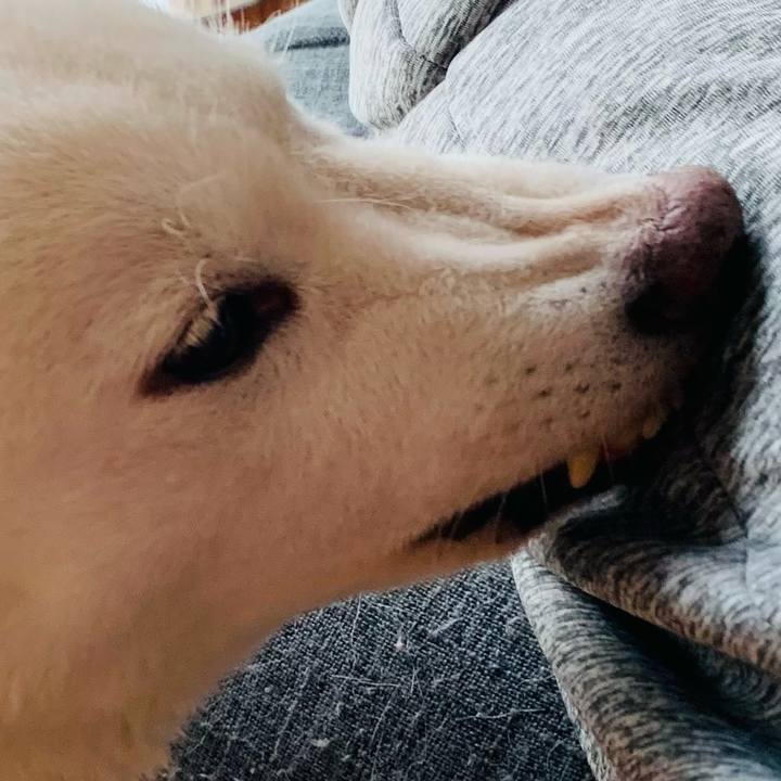 4041e21c 7704 415f 8800 3ce4d60b2f65 1637887910348