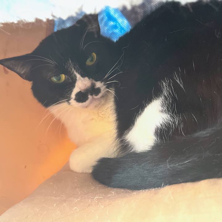 4041f029 3142 458a ad69 0ea4d79887e0 1684973884940