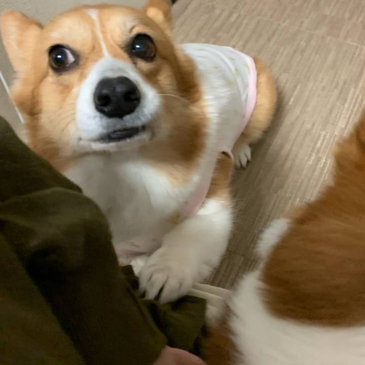 4041f9c0 3321 4817 bd6d 36ce53f51c4e 1613605176976