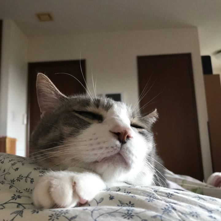 4042035c ad15 4578 b5f7 2f665a57d092 1607085006597