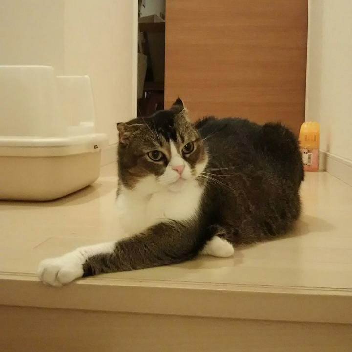 40421144 7fde 4f0c b3bd 8044d6ba622c 1533039629566