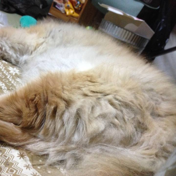 40421ed1 f8d6 4303 b7b0 d32b04d2572c 1614993237804