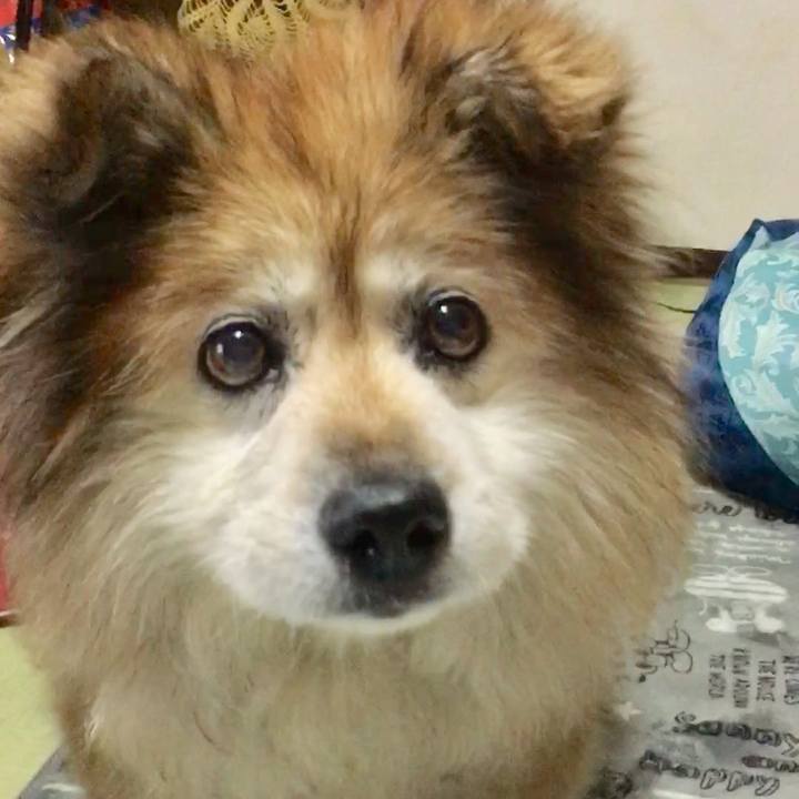 404221f6 3c65 410b b244 6fdb86f7b949 1561882106339