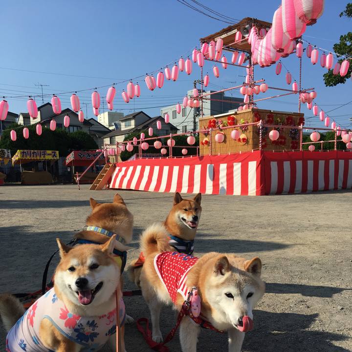 4042275d 4757 45d3 8372 56cd9df27468 1564877902984