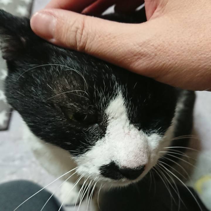 4042471d 11b7 4cd0 acf7 7def86dd8097 1577436458668