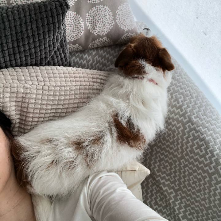 40426720 f822 4f34 9afd b584a2d1b247 1619994772403