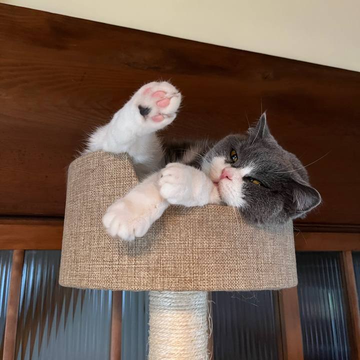 40427b56 b466 4370 9cf6 5740540134d3 1640486746587