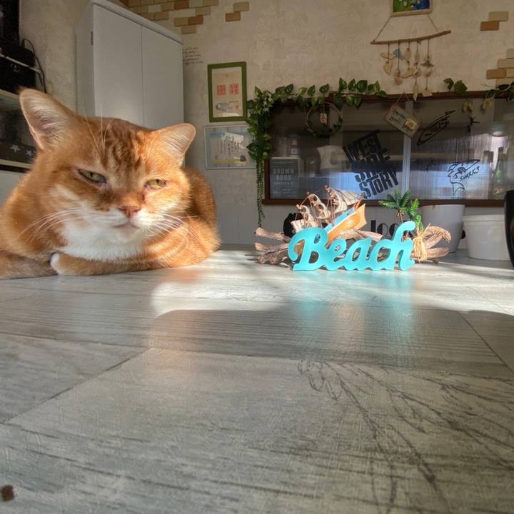 4042878e 4c0f 49c6 8a98 ded599c8d9ea 1638059278863