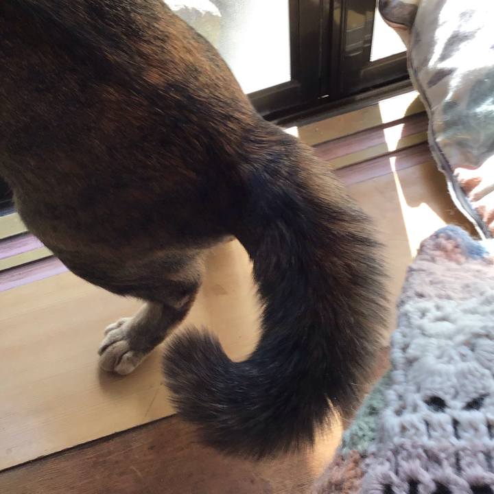 4042a090 a86e 43de a152 7435868ed967 1618526249834