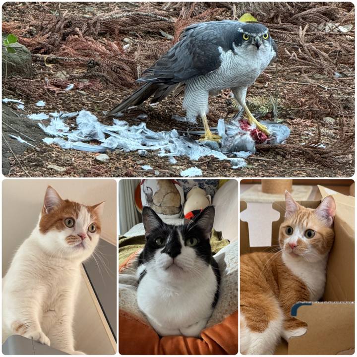 4042c896 fbd6 4f70 b7c0 7d72ca4be085 1775031018367