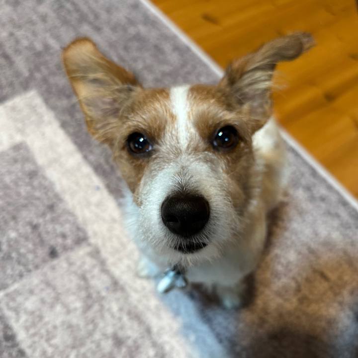 4042d2e8 5874 4100 89da f50a970e7fb9 1760837866184