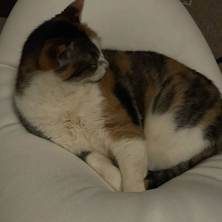 4042fdc8 a792 4fa8 9a51 a0108d0727de 1711270859818