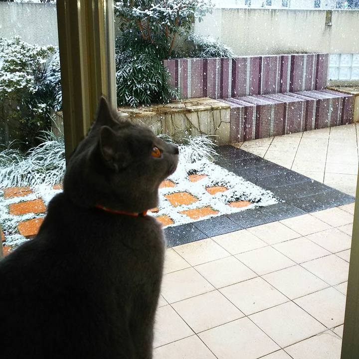 40436db6 04c9 424f bf2c 391f69f00f6b 1516614273577