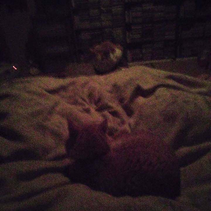 404384d2 9ee4 4dbe bcc6 f51ddc949ba3 1733439702118