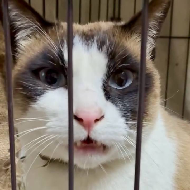 4043a3e7 c92b 40a0 9e7b 1e5df804619e 1774442001740