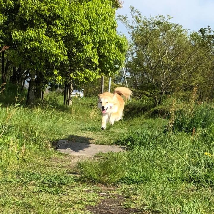 4043e03d 2bb6 43be 8705 86f9a475ce70 1556799653100