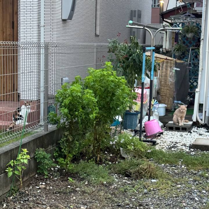 4043e69f 605f 4231 95b6 b5e54ad4db28 1757646028820