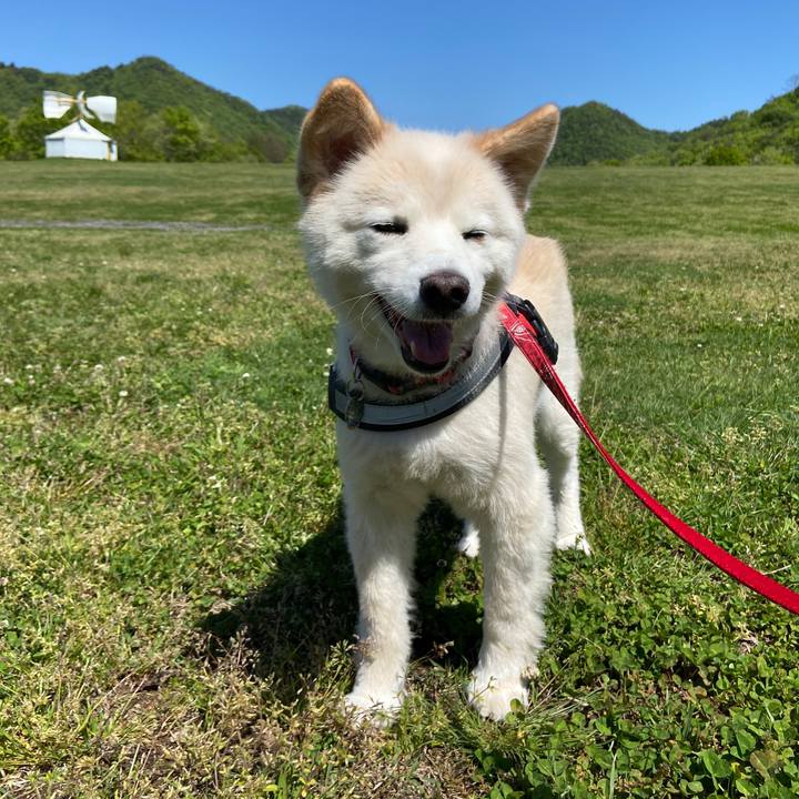 40441674 bb03 4c8f 86c1 a3bc662127ad 1682636856591