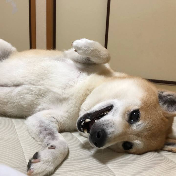 40444ed9 f6f3 4047 9345 9beda3605e43 1559481987098