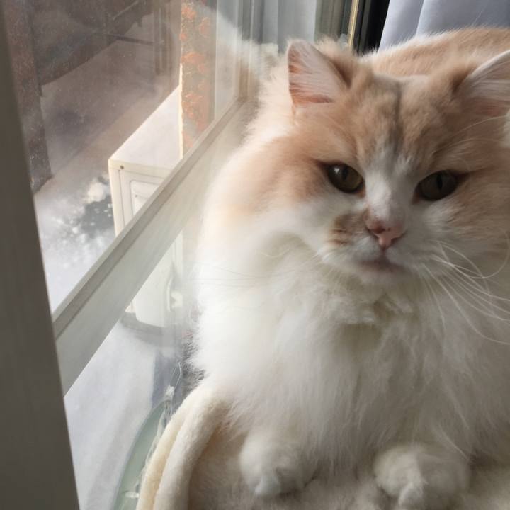 40449b5e 9fcc 40d5 a1e4 67984b7a1405 1549583456782