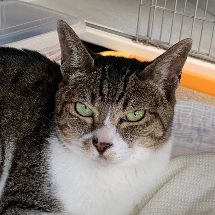 4044afb7 b923 4403 a4be e8ce44572aaf 1589851299858