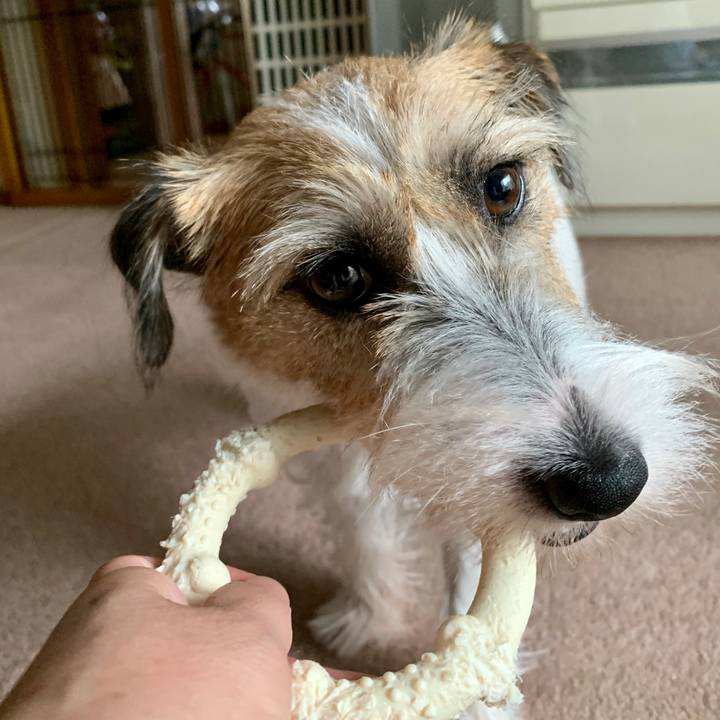 4044d0d9 0a71 43e0 9792 2378dbe318f5 1601016196057