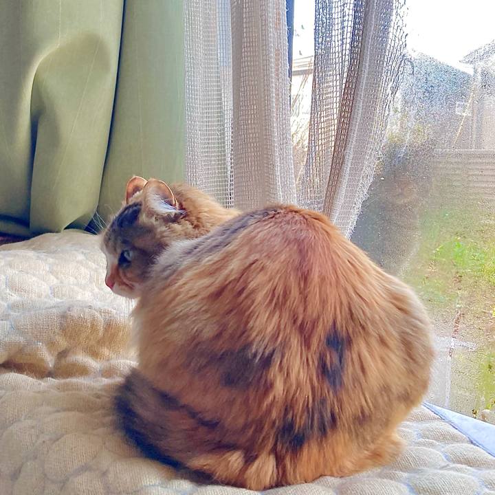 4044e1b4 17ee 49ed a57b e45940a6532f 1649806771167