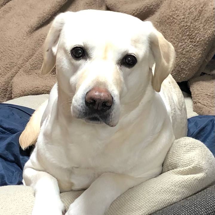 4044e4a7 a152 4332 b457 d58933758f7d 1640851296464