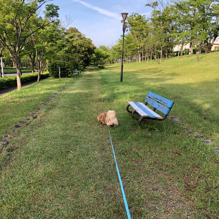 4045288e be3b 4ab3 b722 35001e31c60d 1559598418805