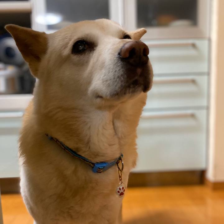 40453e54 1783 4475 b4a7 112f711a155b 1581594068564