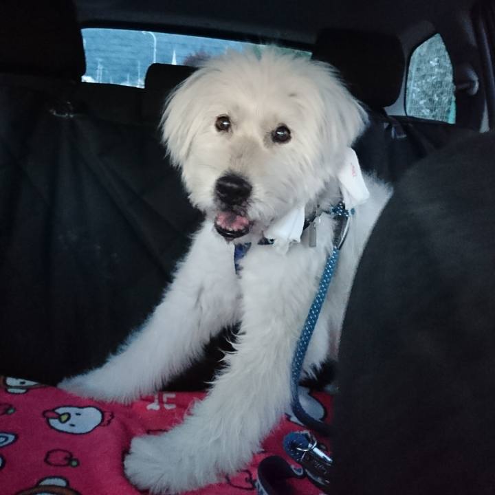 40454e4b a297 46c5 8242 e439c6f673e3 1596535513356